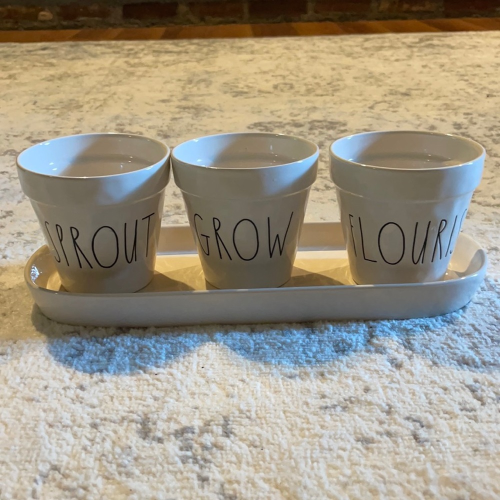 Rae Dunn planter set